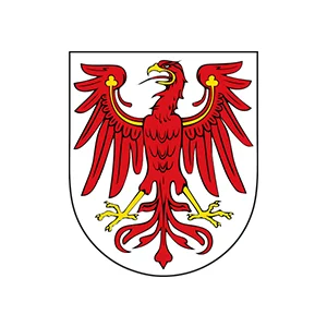 Image link